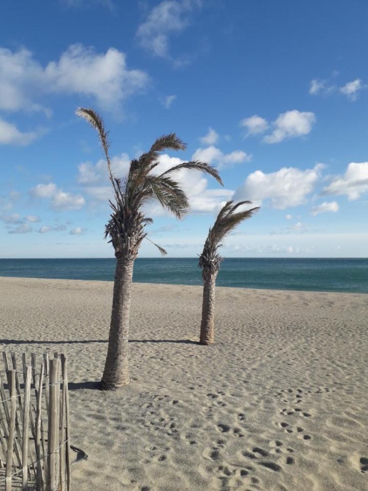 לה ברקרה Coquet Studio 4 Pers, Piscine,Clim Mobile, Plage A 300 M,A 5Min A Pied Du Lydia מראה חיצוני תמונה